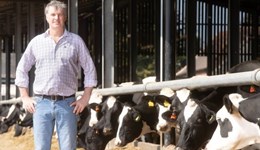 A positive outlook for dairy cow fertility